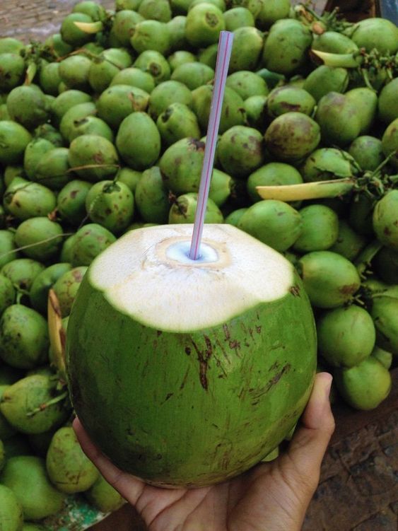 Khasiat daripada air buah kelapa sangat bermanfaat