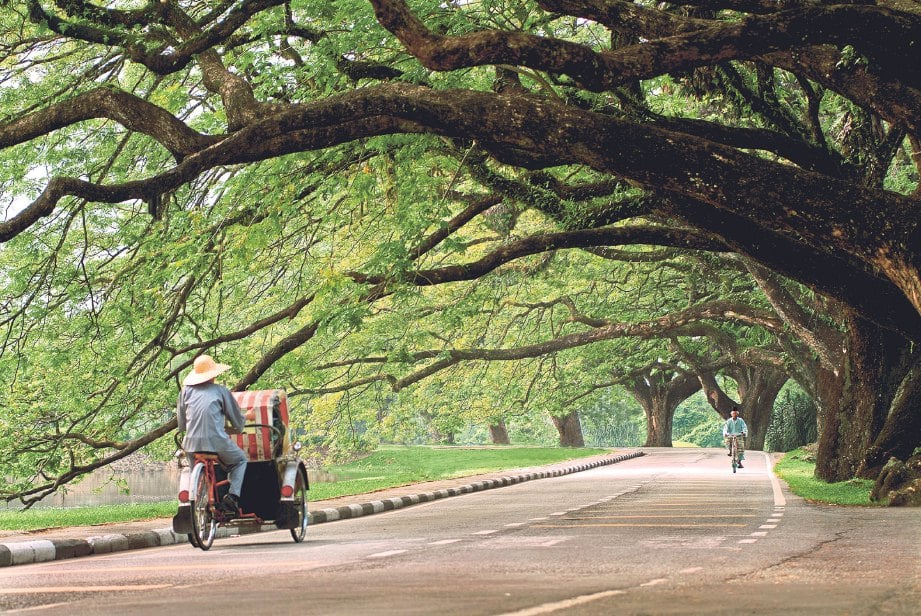 Dengan kedudukan cukup strategik dan mempunyai banyak benda menarik membuatkan Taiping sangat popular satu masa dahulu