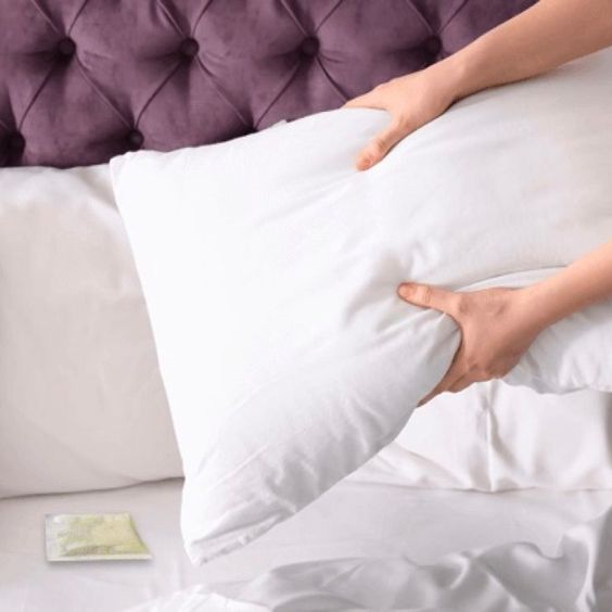 Segala jenis bakteria boleh membiak dari bantal kita sahaja tau