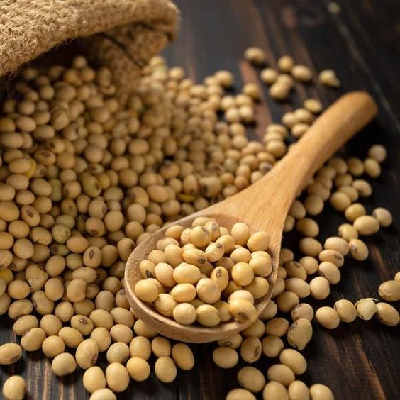 Khasiat kacang soya cukup banyak dan boleh jadikan alternatif kepada protein