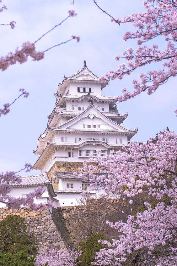 Cantik betul Istana Himeji berwarna putih, berbaloi singgah