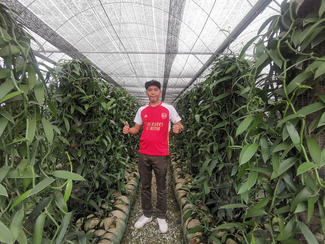 Feisal bekas wartawan kini menjadi pengusaha ladang vanilla