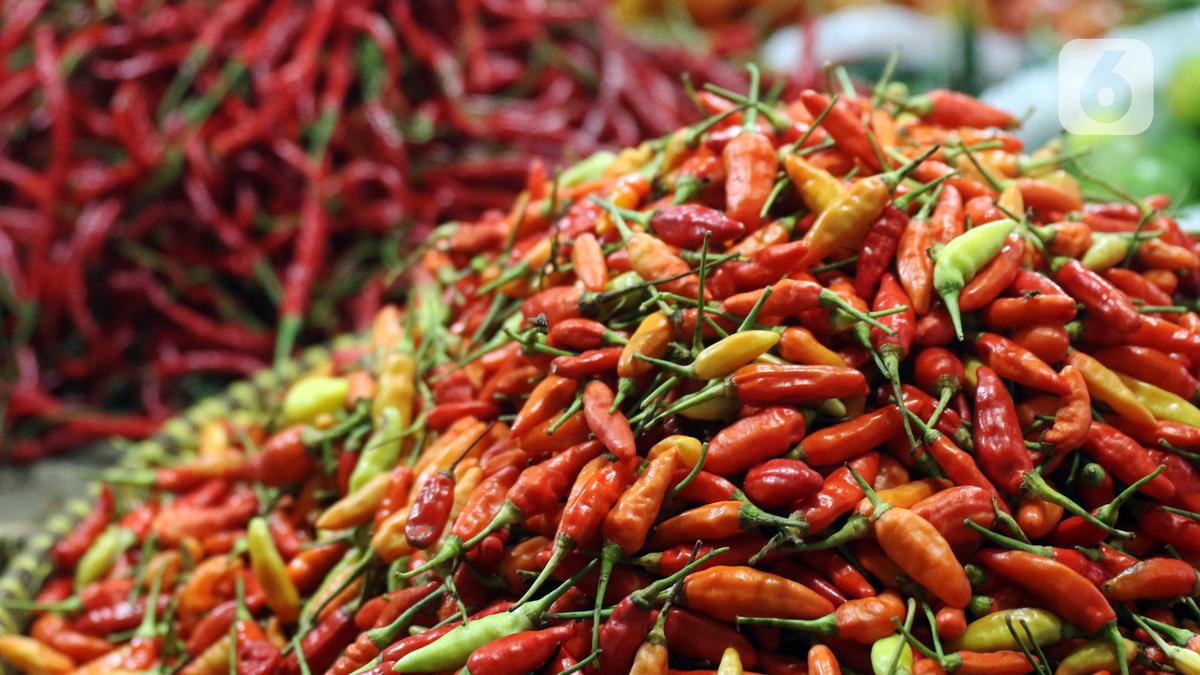 Penggunaan lada sangat meluas seperti sambal