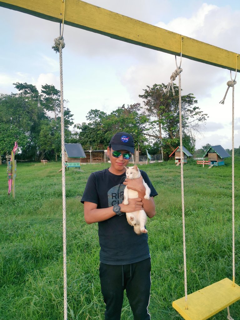 Masuk percuma sahaja dan boleh bermain dengan kucing