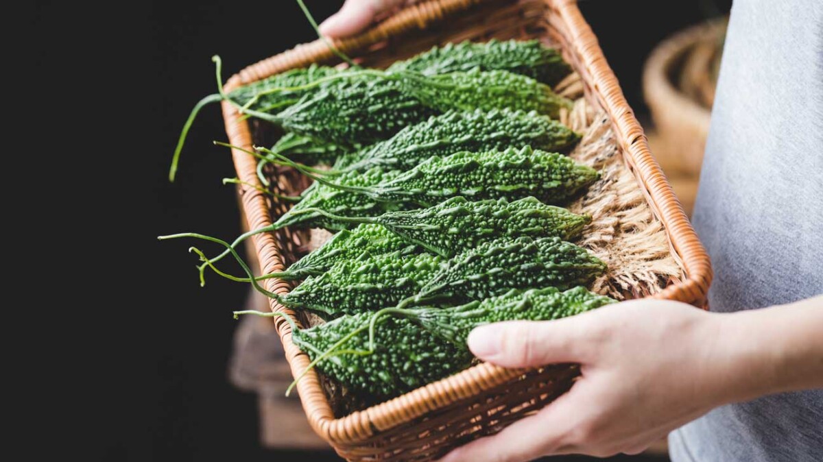 Bahan pahit perlu digunakan untuk imbang beberapa masakan yang ada