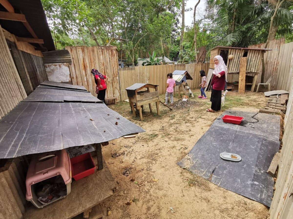 Disediakan rumah, makan dan segalanya untuk mereka