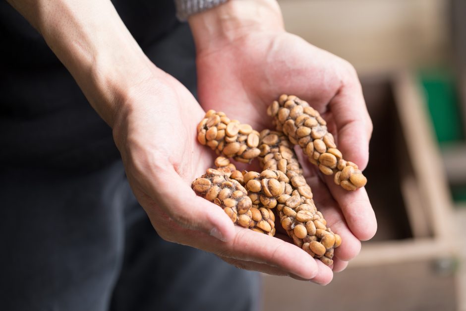 Dikenali sebagai kopi paling mahal dalam dunia terhasil dairpada Luwak