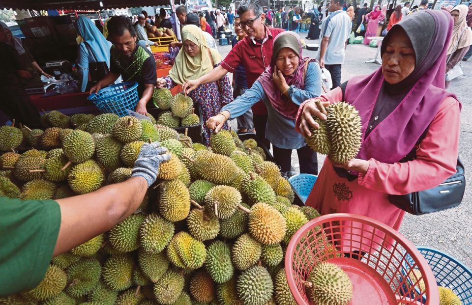 Disebabkan tiada permintaan dan sukar untuk diternak menyebabkan sukar untuk menikmatinya