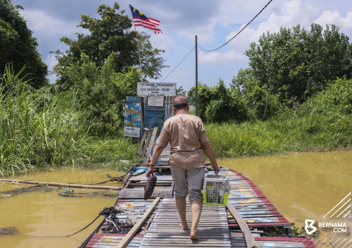 Peminat kucing? Boleh singgah ke sini