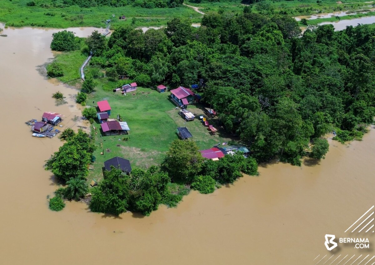 Keluasan 4 hektar memberi ruang secukupnya untuk mereka bermain