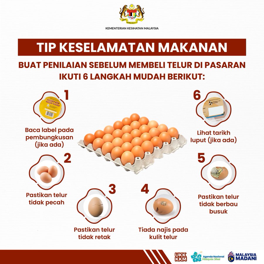 Contoh infografik dihasilkan oleh KKM tentang keracunan makanan daripada telur