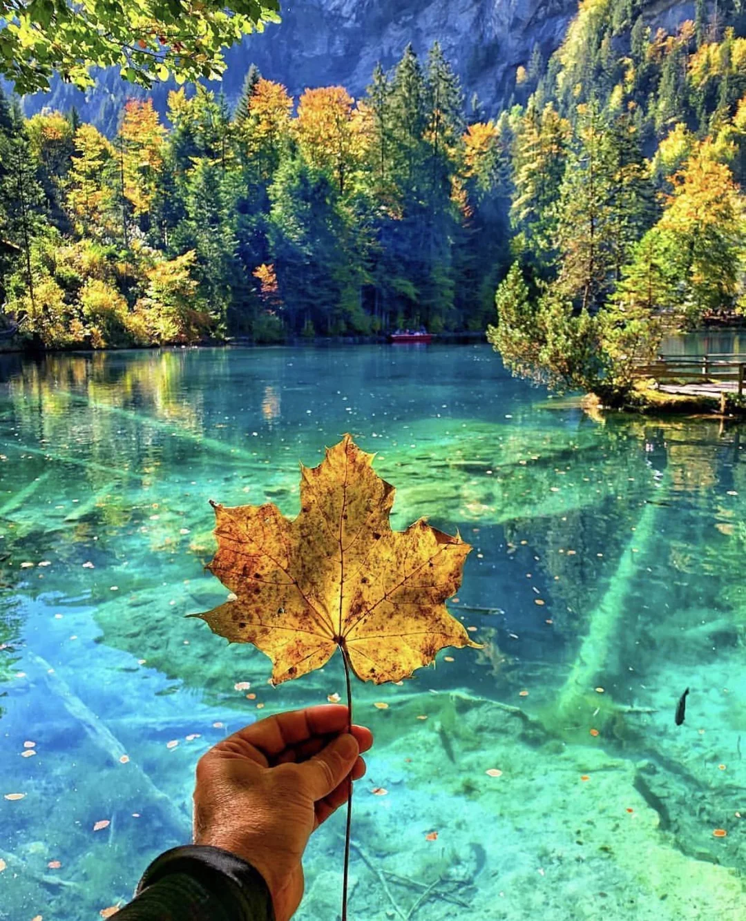 Datang masa musim luruh untuk dapat pemandangan cantik seperti gambar ini
