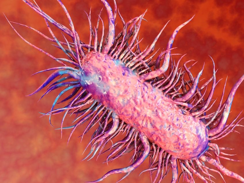 Lelaki dikatakan terkena jangkitan kuman setelah jari terluka tercucuk udang