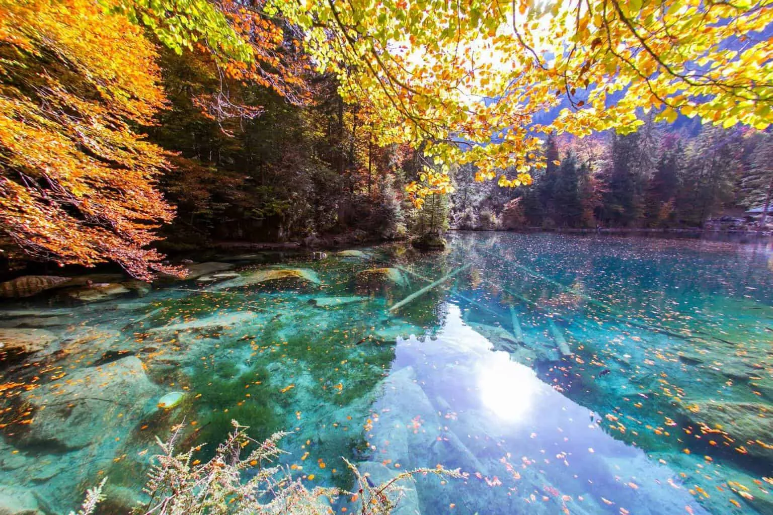 Memang cantik betul seluruh kawasan tasik ini