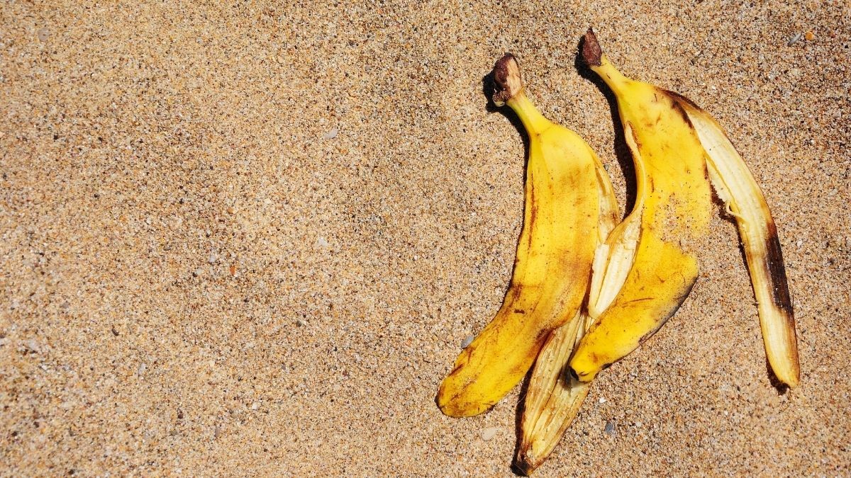 Banyak khasiat semulajadi terkandung dalam kulit pisang tau