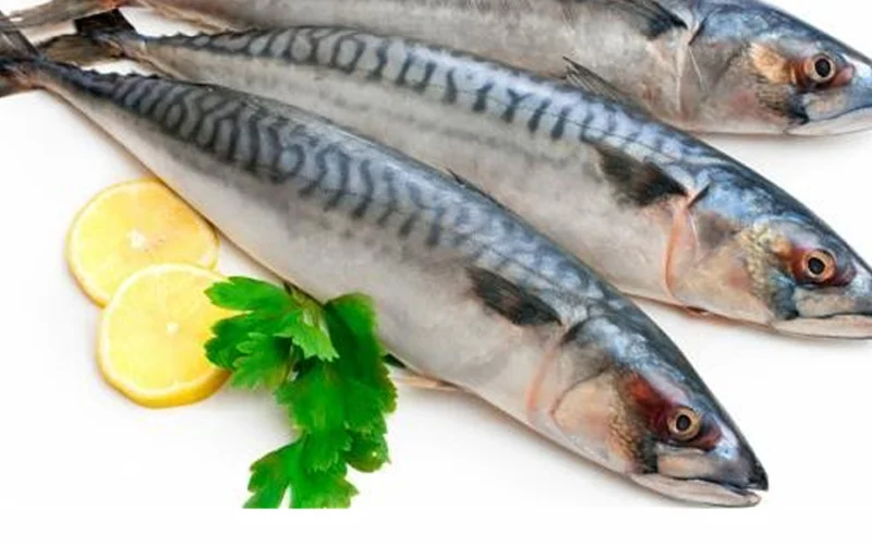 Ikan sardin perlu diperap untuk buang bau hanyir ikan ini