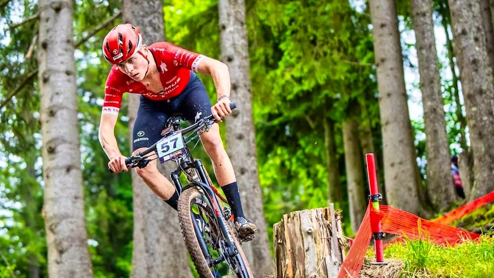 Menurut Romano dia merasakan tahun ini ialah prestasi terbaik 