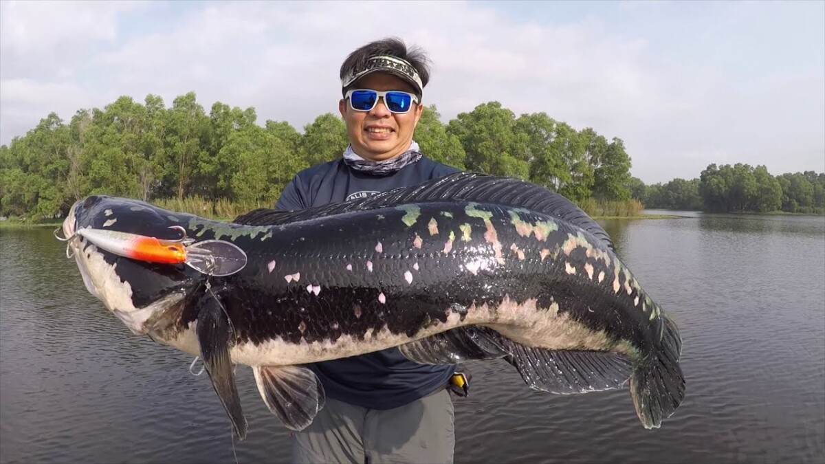 Ramai percaya terdapat ikan toman sebesar bas jadikan tasik itu sebagai rumah di bekas ;ombong The Mines.