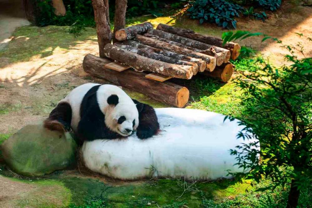 Ada banyak tarikan menarik pasti membuatkan sesiapa sahaja gembira melihatnya