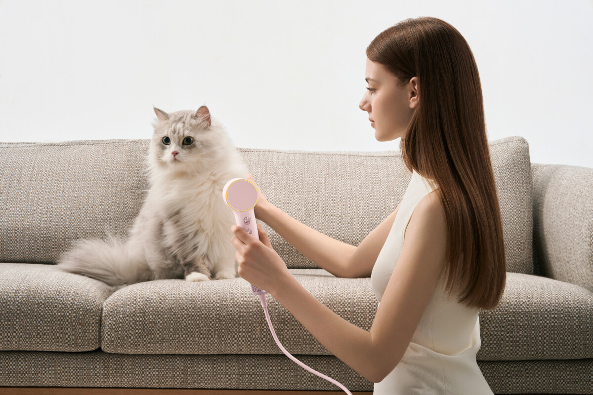 Nak Keringkan Encik Bulus Pun Tiada Masalah,  Laifen MINI mampu menolong!