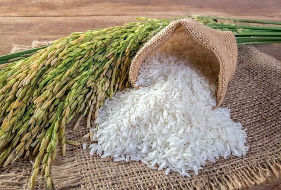 Putih Import pula sama sahaja macam tempatan, beza ialah datang dari luar negara