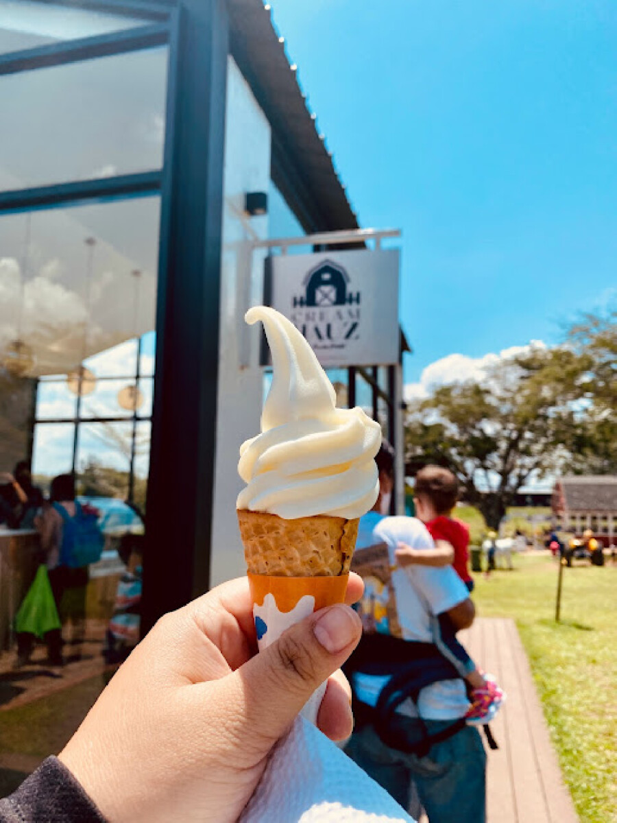 Kedai mereka di UPM juga menjual ais krim tetapi dalam kon