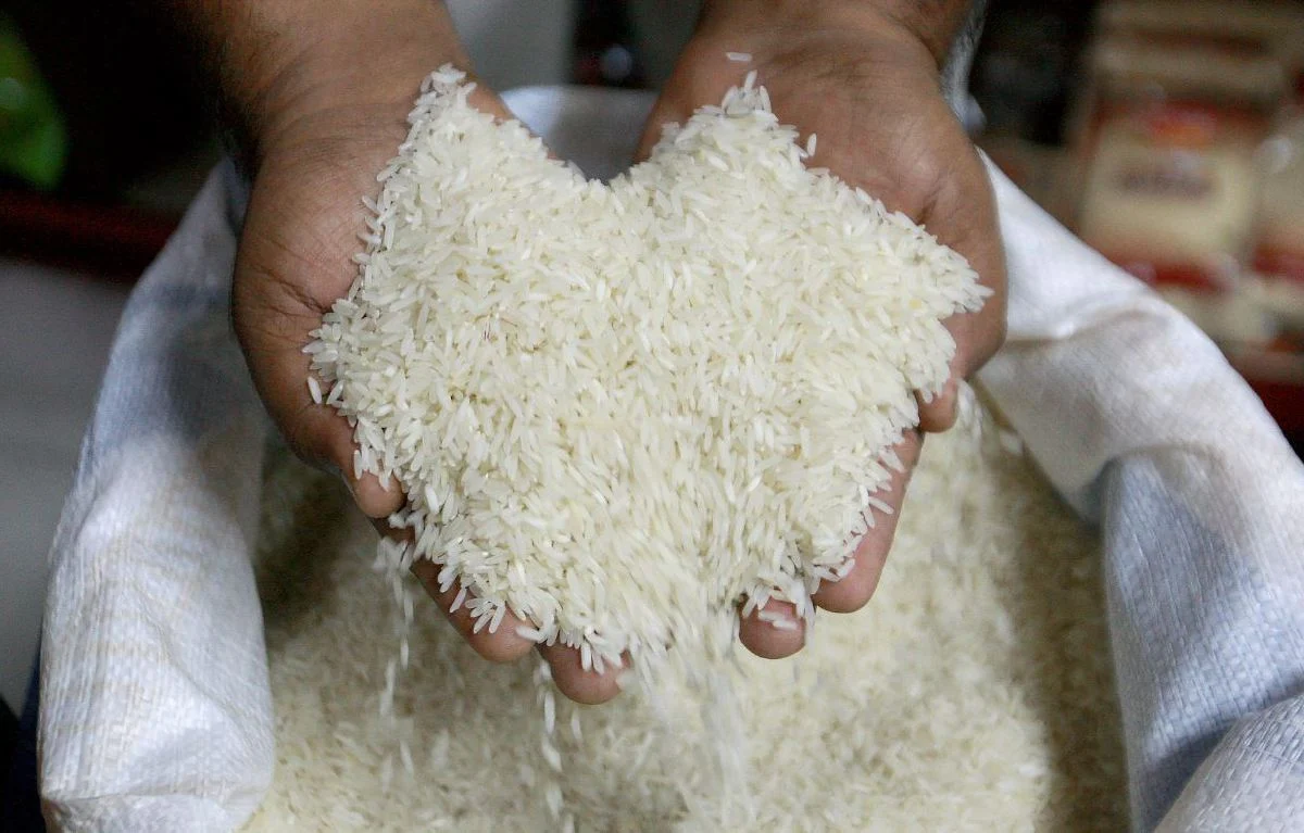 Putih tempatan merujuk kepada padi tempatan dan dihasilkan dalam negara