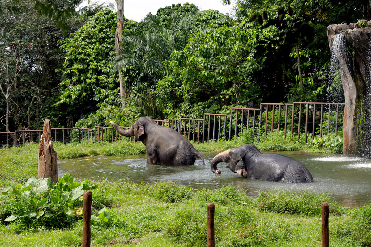 Ada banyak tarikan menarik pasti membuatkan sesiapa sahaja gembira melihatnya