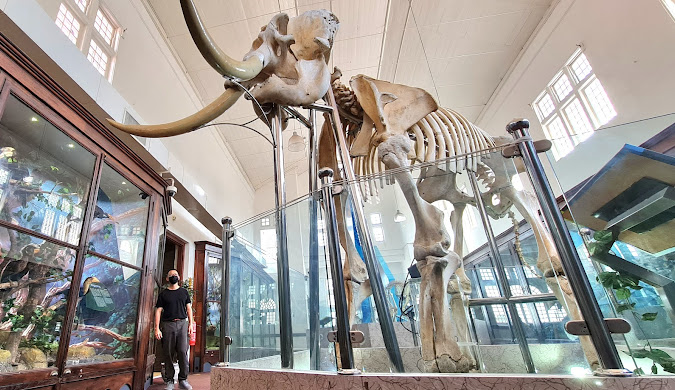 Antara pameran menarik yang ada di muzium ini
