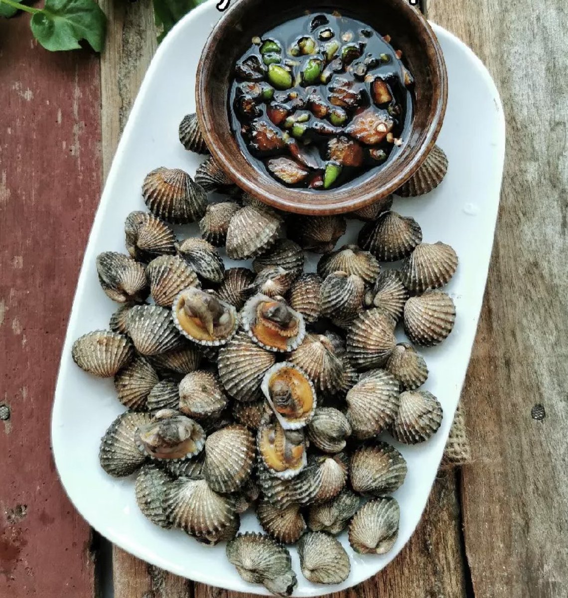 Kerang bakar pula dijual dengan harga RM50++