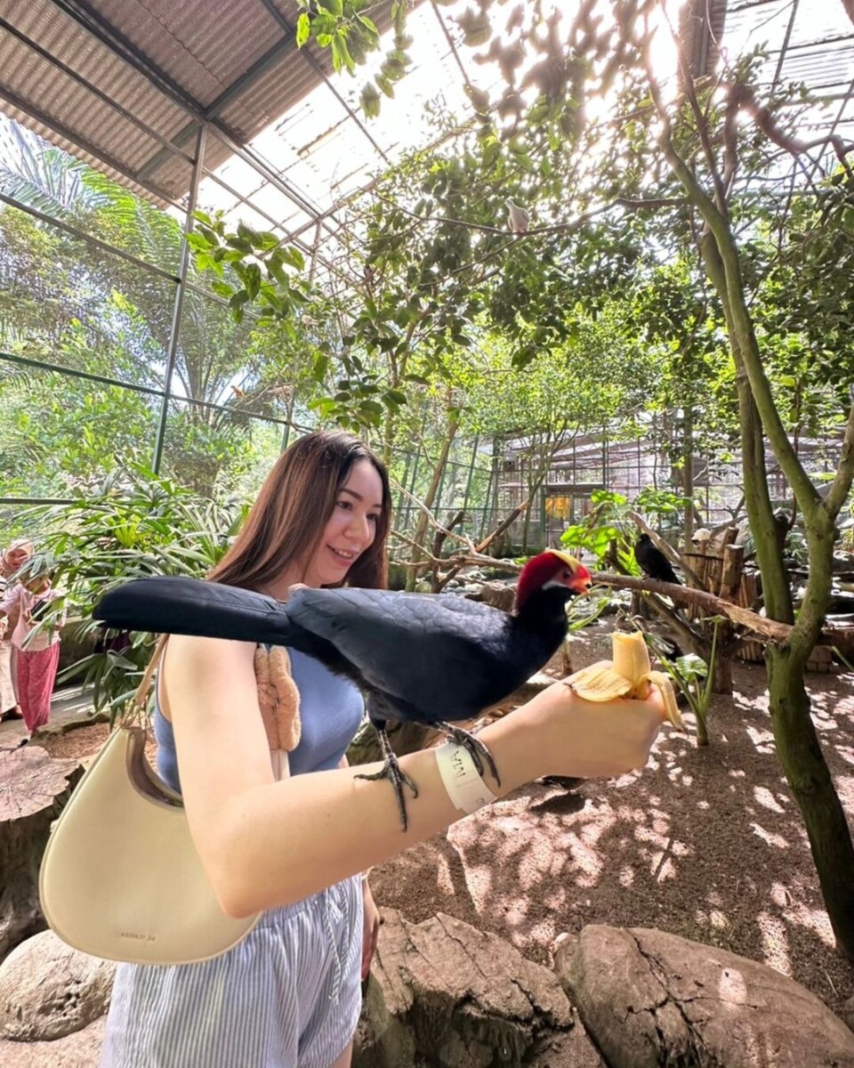 Nak beli tiket pun tak susah, min dah sediakan langkah untuk anda ikut sahaja