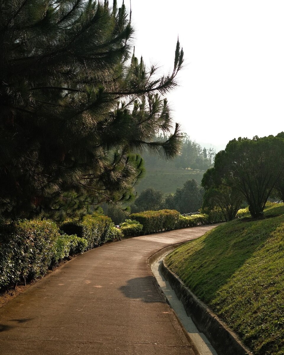 Konsep Salem High Country dijadikan inspirasi untuk bina taman ini