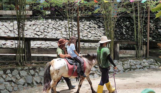 Kalau ada anak kecil, apa kata beri mereka peluang naik kuda poni