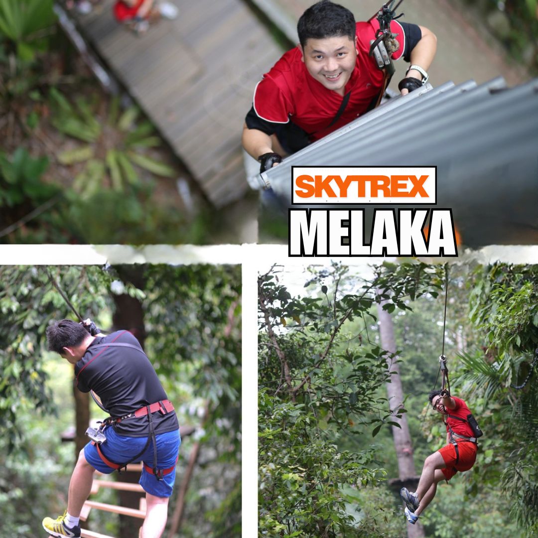 Skytrex Melaka, tapak pertama di Malaysia! Ada laluan kanak-kanak, tema dinosaur & suasana hutan yang tenang.