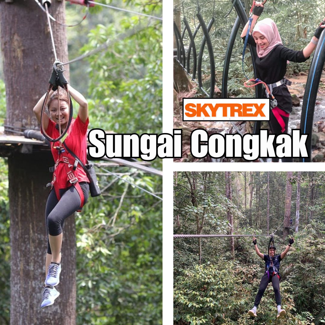 Aktiviti lasak, air terjun & glamping atas pokok — Skytrex Sungai Congkak gabungkan cabaran dan ketenangan alam.